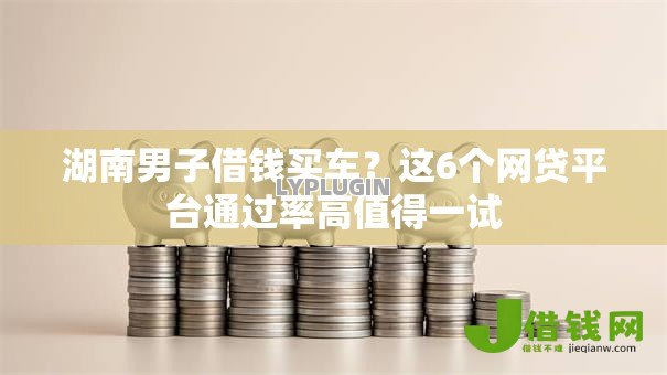 湖南男子借钱买车？这6个网贷平台通过率高值得一试