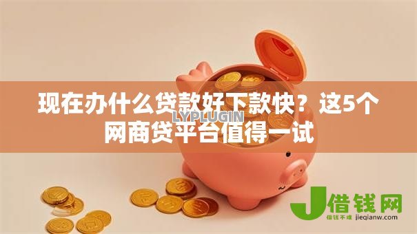 现在办什么贷款好下款快？这5个网商贷平台值得一试