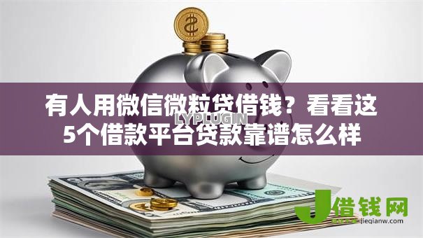 有人用微信微粒贷借钱？看看这5个借款平台贷款靠谱怎么样
