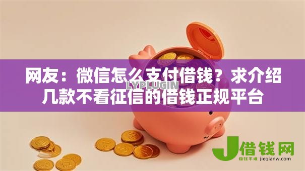 网友：微信怎么支付借钱？求介绍几款不看征信的借钱正规平台