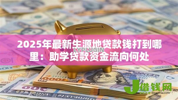 2025年最新生源地贷款钱打到哪里：助学贷款资金流向何处