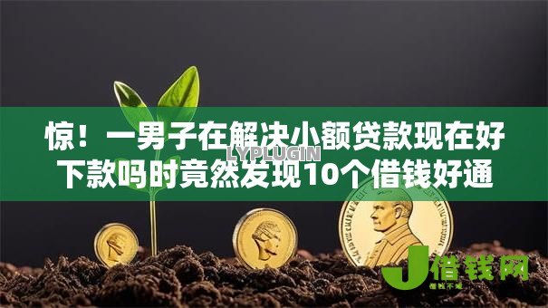 惊!一男子在解决小额贷款现在好下款吗时竟然发现10个借钱好通过率高平台,事后分享了出来 惊!一男子在解决小额贷款现在好下款吗时竟然发现10个借钱好通过率高平台,事后分享了出来