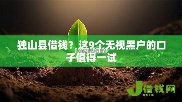 独山县借钱?这9个无视黑户的口子值得一试 独山县借钱?这9个无视黑户的口子值得一试