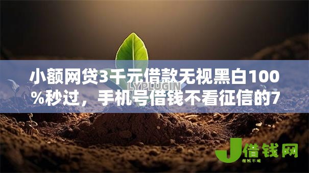 小额网贷3千元借款无视黑白100%秒过，手机号借钱不看征信的7个平台介绍
