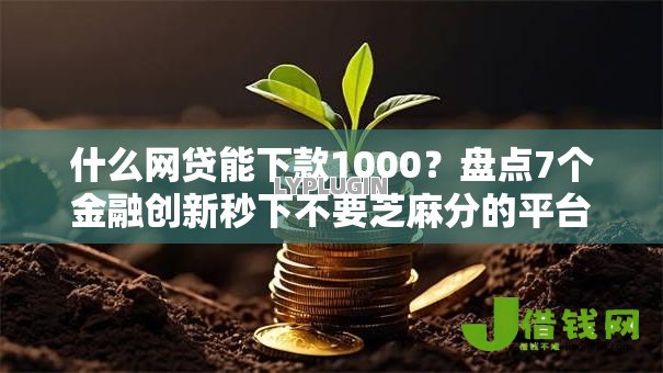什么网贷能下款1000？盘点7个金融创新秒下不要芝麻分的平台给你参考