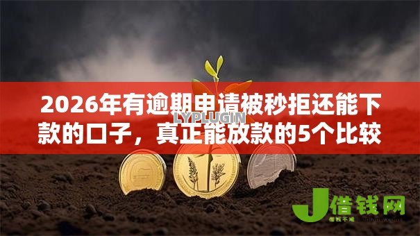 2026年有逾期申请被秒拒还能下款的口子，真正能放款的5个比较靠谱的借钱软件推荐