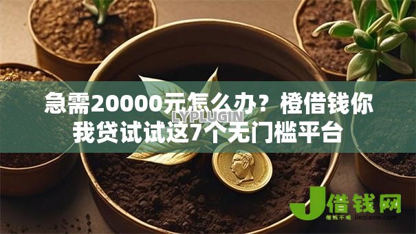 急需20000元怎么办?橙借钱你我贷试试这7个无门槛平台 急需20000元怎么办?橙借钱你我贷试试这7个无门槛平台