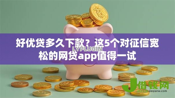 好优贷多久下款？这5个对征信宽松的网贷app值得一试