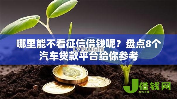 哪里能不看征信借钱呢？盘点8个汽车贷款平台给你参考
