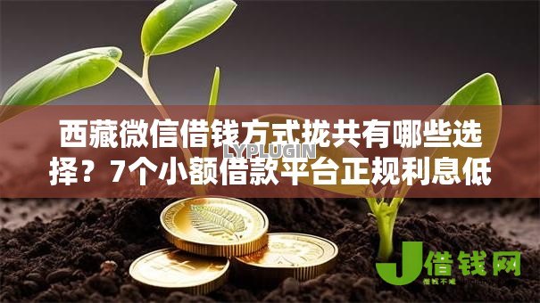 西藏微信借钱方式拢共有哪些选择?7个小额借款平台正规利息低详解 西藏微信借钱方式拢共有哪些选择?7个小额借款平台正规利息低详解