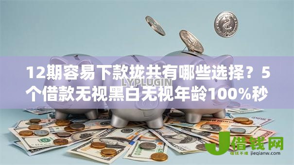 12期容易下款拢共有哪些选择?5个借款无视黑白无视年龄100%秒过app详解 12期容易下款拢共有哪些选择?5个借款无视黑白无视年龄100%秒过app详解