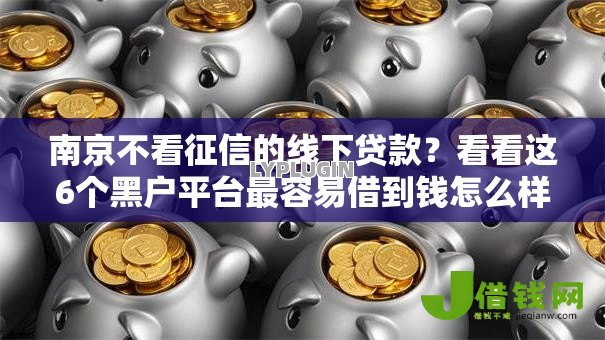 南京不看征信的线下贷款？看看这6个黑户平台最容易借到钱怎么样