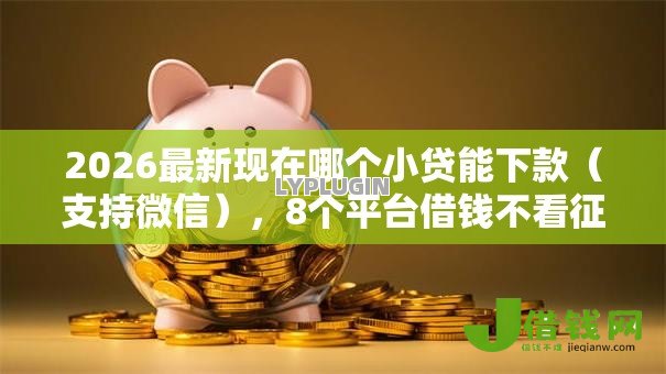 2026最新现在哪个小贷能下款（支持微信），8个平台借钱不看征信好下款的无私分享