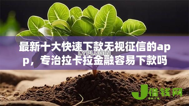 最新十大快速下款无视征信的app,专治拉卡拉金融容易下款吗 最新十大快速下款无视征信的app,专治拉卡拉金融容易下款吗