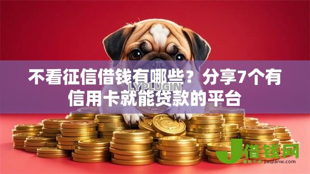 不看征信借钱有哪些?分享7个有信用卡就能贷款的平台 不看征信借钱有哪些?分享7个有信用卡就能贷款的平台