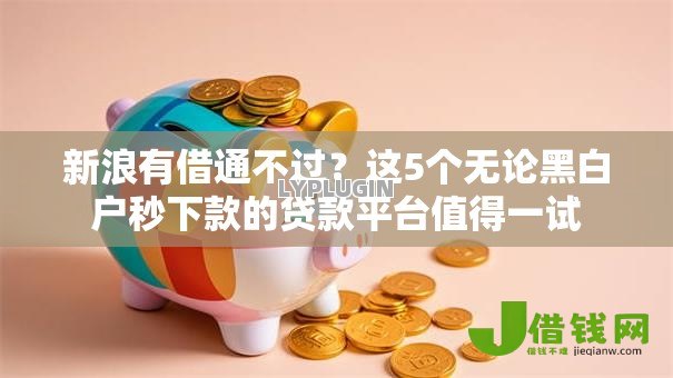 新浪有借通不过?这5个无论黑白户秒下款的贷款平台值得一试 新浪有借通不过?这5个无论黑白户秒下款的贷款平台值得一试