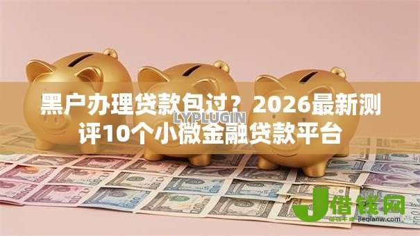 黑户办理贷款包过?2026最新测评10个小微金融贷款平台 黑户办理贷款包过?2026最新测评10个小微金融贷款平台