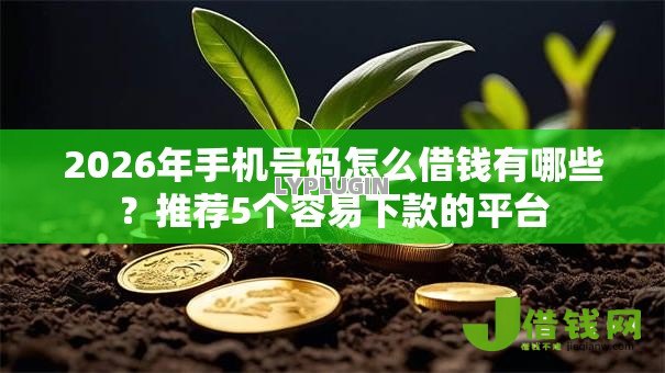 2026年手机号码怎么借钱有哪些？推荐5个容易下款的平台