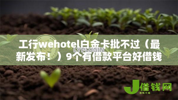 工行wehotel白金卡批不过（最新发布！）9个有借款平台好借钱