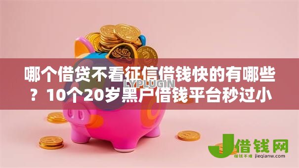哪个借贷不看征信借钱快的有哪些？10个20岁黑户借钱平台秒过小额推荐给你