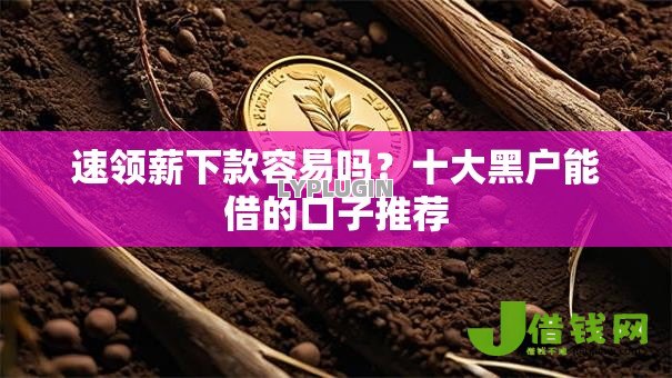 速领薪下款容易吗？十大黑户能借的口子推荐