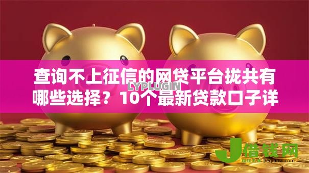 查询不上征信的网贷平台拢共有哪些选择？10个最新贷款口子详解