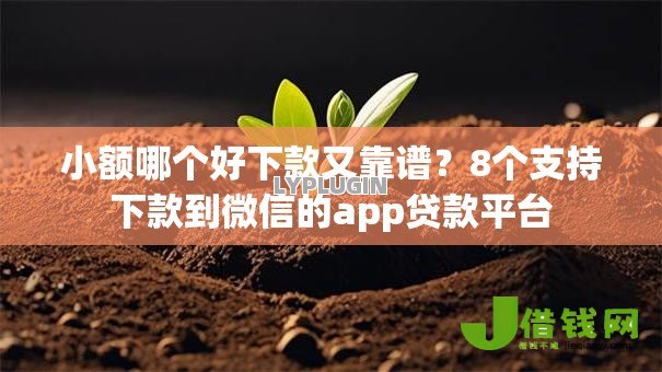 小额哪个好下款又靠谱?8个支持下款到微信的app贷款平台 小额哪个好下款又靠谱?8个支持下款到微信的app贷款平台