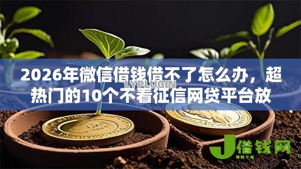 2026年微信借钱借不了怎么办，超热门的10个不看征信网贷平台放款快的软件推荐