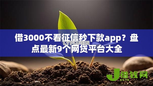 借3000不看征信秒下款app？盘点最新9个网贷平台大全