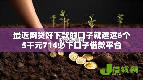 最近网贷好下款的口子就选这6个5千元714必下口子借款平台