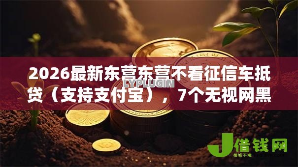 2026最新东营东营不看征信车抵贷(支持支付宝),7个无视网黑征信黑3万贷款秒款app名单无私分享 2026最新东营东营不看征信车抵贷(支持支付宝),7个无视网黑征信黑3万贷款秒款app名单无私分享