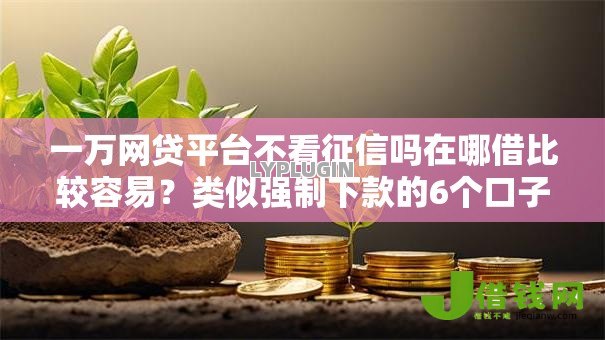 一万网贷平台不看征信吗在哪借比较容易？类似强制下款的6个口子参考