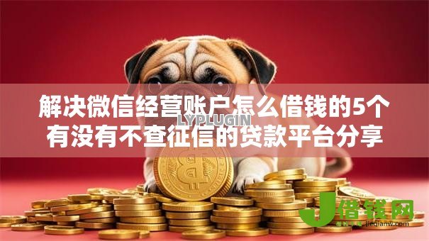 解决微信经营账户怎么借钱的5个有没有不查征信的贷款平台分享 解决微信经营账户怎么借钱的5个有没有不查征信的贷款平台分享