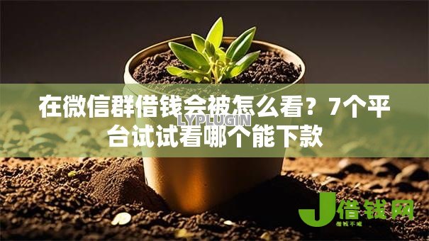 在微信群借钱会被怎么看？7个平台试试看哪个能下款