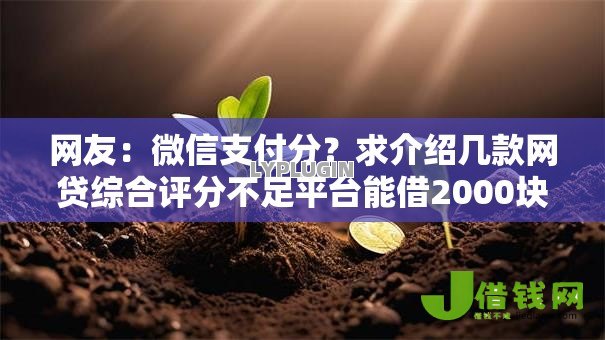网友：微信支付分？求介绍几款网贷综合评分不足平台能借2000块急用