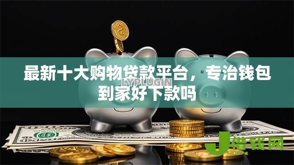 最新十大购物贷款平台,专治钱包到家好下款吗 最新十大购物贷款平台,专治钱包到家好下款吗