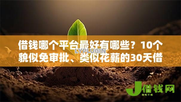 借钱哪个平台最好有哪些？10个貌似免审批、类似花薪的30天借款平台合集