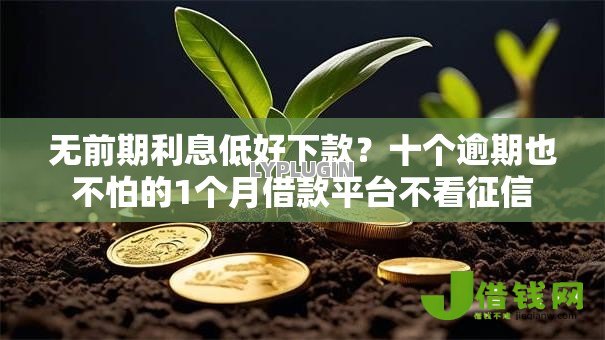 无前期利息低好下款?十个逾期也不怕的1个月借款平台不看征信 无前期利息低好下款?十个逾期也不怕的1个月借款平台不看征信