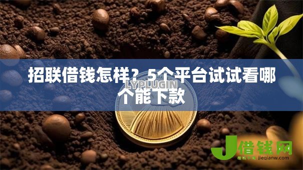招联借钱怎样？5个平台试试看哪个能下款