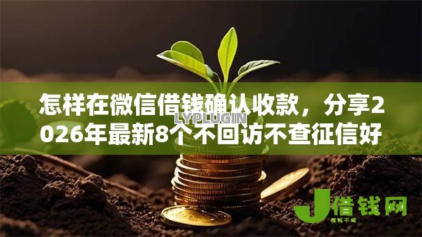 怎样在微信借钱确认收款，分享2026年最新8个不回访不查征信好下款的口子