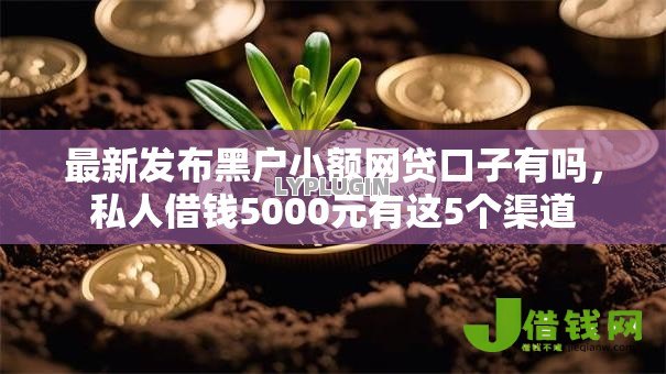 最新发布黑户小额网贷口子有吗，私人借钱5000元有这5个渠道