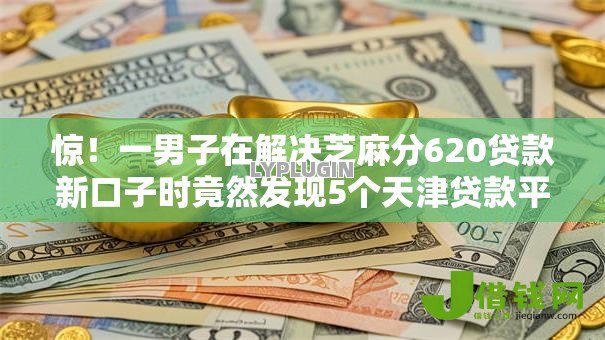 惊！一男子在解决芝麻分620贷款新口子时竟然发现5个天津贷款平台，事后分享了出来
