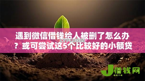 遇到微信借钱给人被删了怎么办?或可尝试这5个比较好的小额贷款口子 遇到微信借钱给人被删了怎么办?或可尝试这5个比较好的小额贷款口子