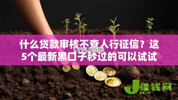 什么贷款审核不查人行征信?这5个最新黑口子秒过的可以试试 什么贷款审核不查人行征信?这5个最新黑口子秒过的可以试试