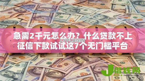 急需2千元怎么办？什么贷款不上征信下款试试这7个无门槛平台