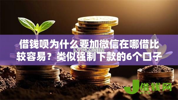 借钱呗为什么要加微信在哪借比较容易？类似强制下款的6个口子参考