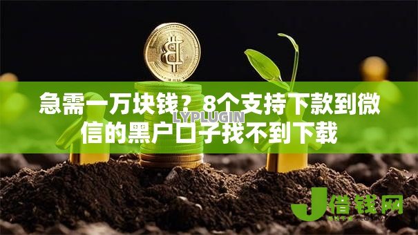 急需一万块钱?8个支持下款到微信的黑户口子找不到下载 急需一万块钱?8个支持下款到微信的黑户口子找不到下载