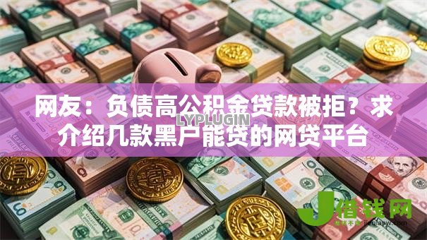 网友：负债高公积金贷款被拒？求介绍几款黑户能贷的网贷平台