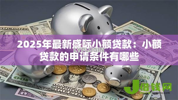 2025年最新盛际小额贷款：小额贷款的申请条件有哪些