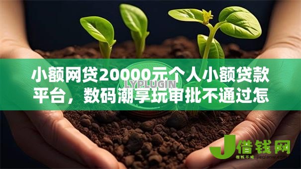 小额网贷20000元个人小额贷款平台，数码潮享玩审批不通过怎么办的8个平台介绍
